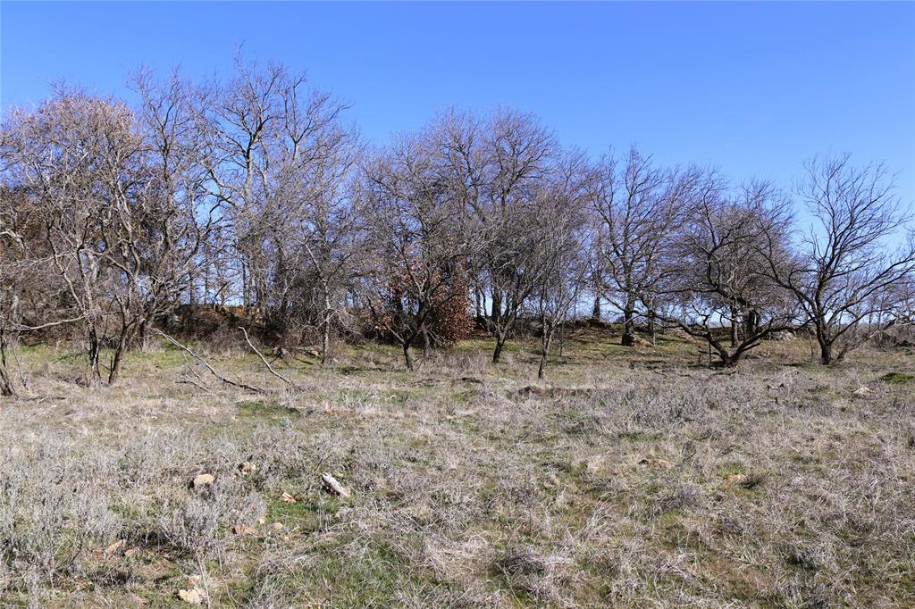 40 Acres Sears Mayfield Rd Property Photo 20