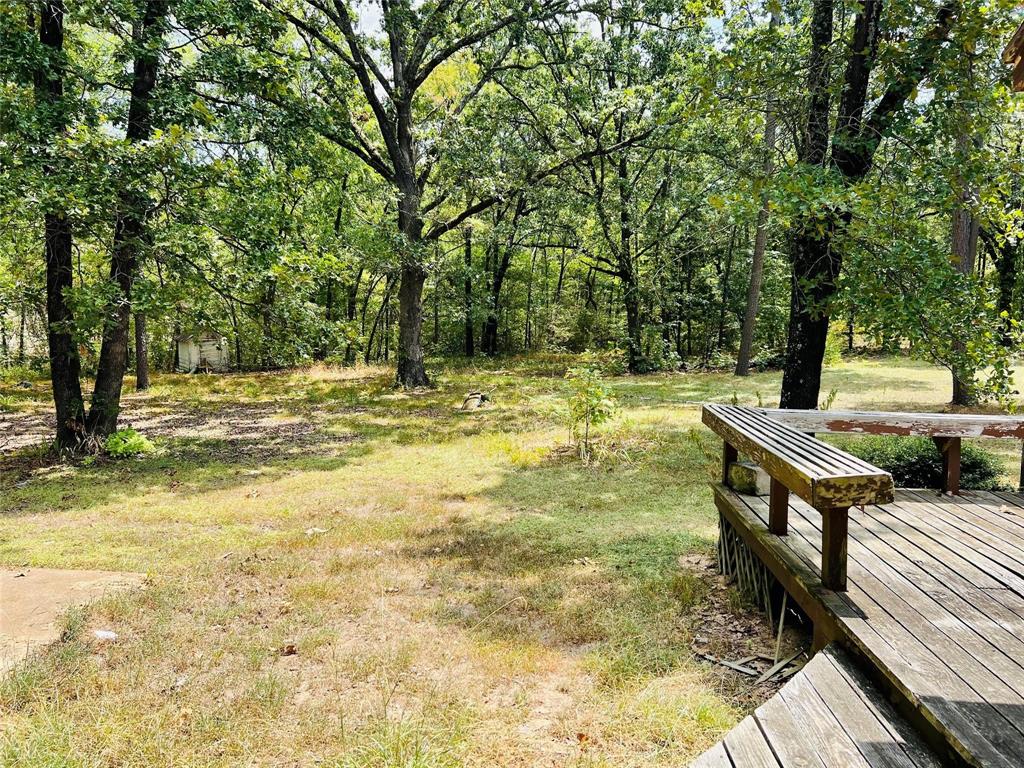 87 County Road 35920 Property Photo 9