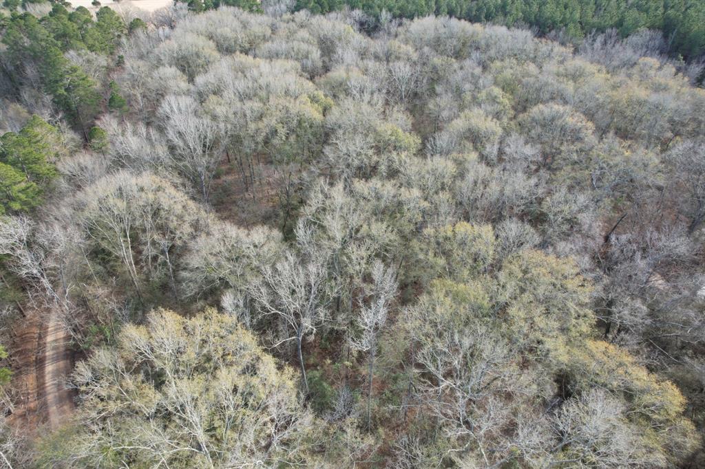 Tract C County Road 4037 Property Photo 3