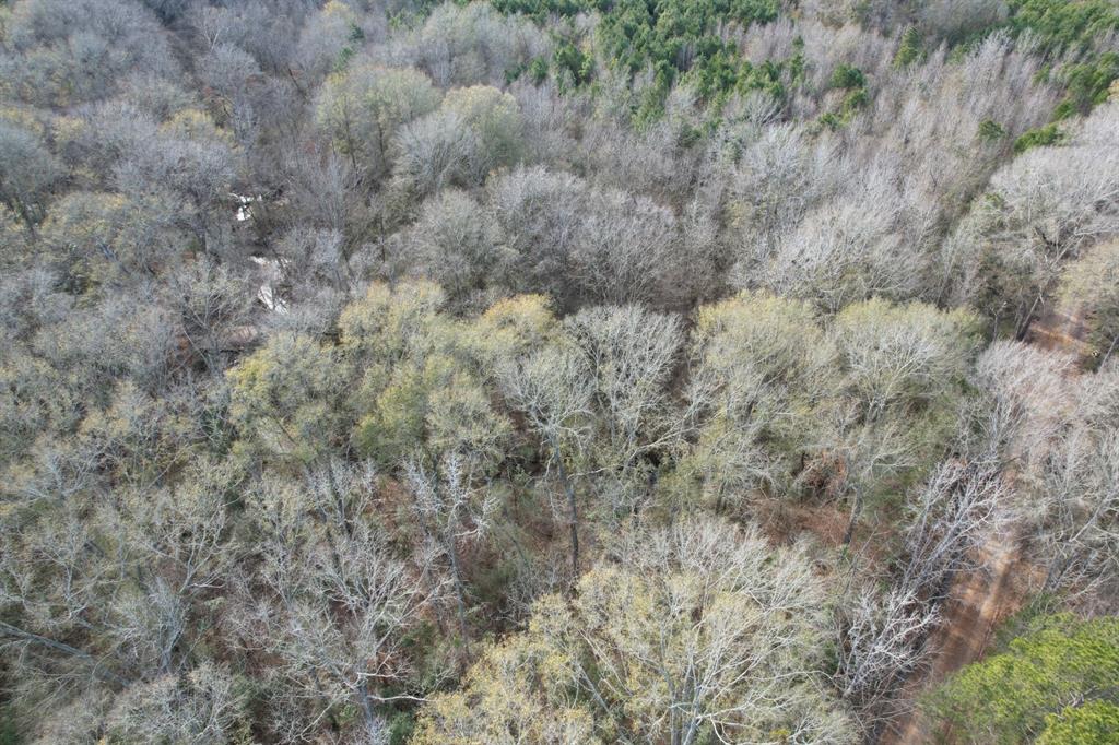 Tract C County Road 4037 Property Photo 4