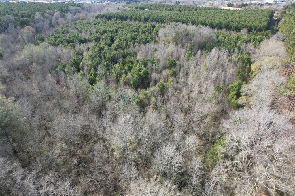 Tract C County Road 4037 Property Photo 8