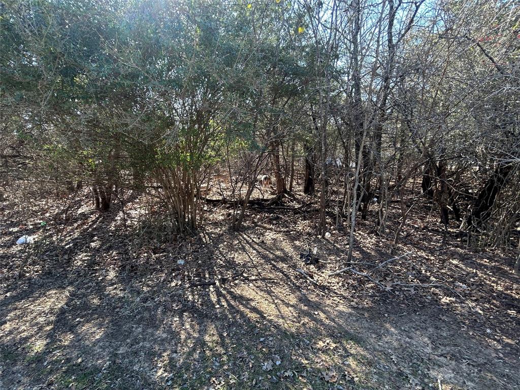 1701 Sheila Drive Property Photo