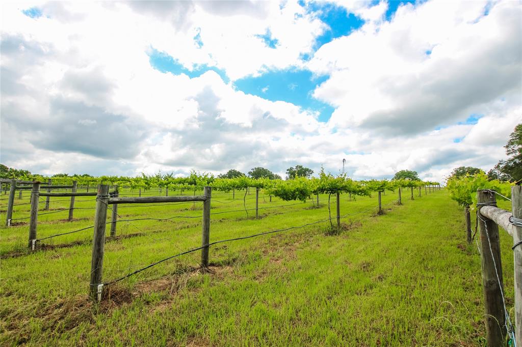 Tbd County Road 2178 Property Photo
