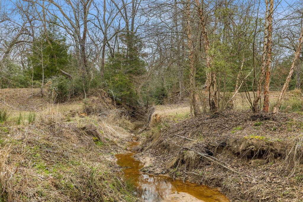 Tbd County Road 381 Property Photo