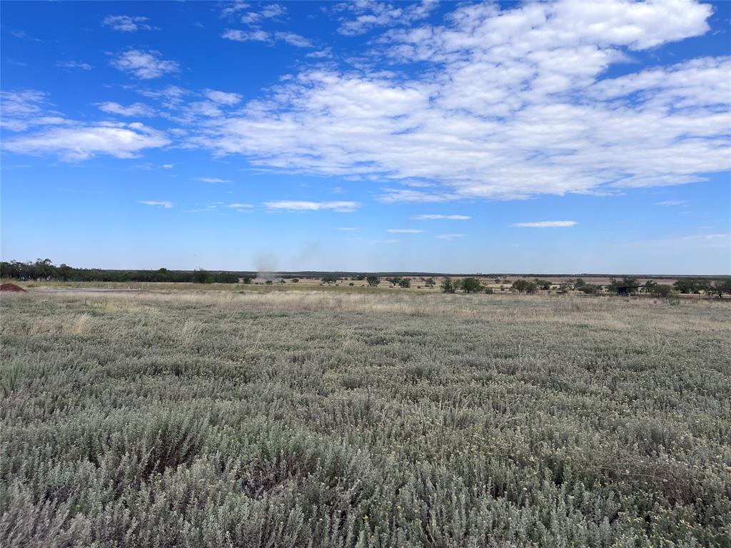 Tbd County Road 432 Property Photo