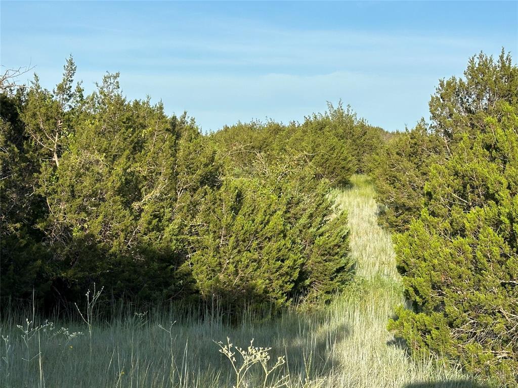 Tbd Hwy 36 W Property Photo 22