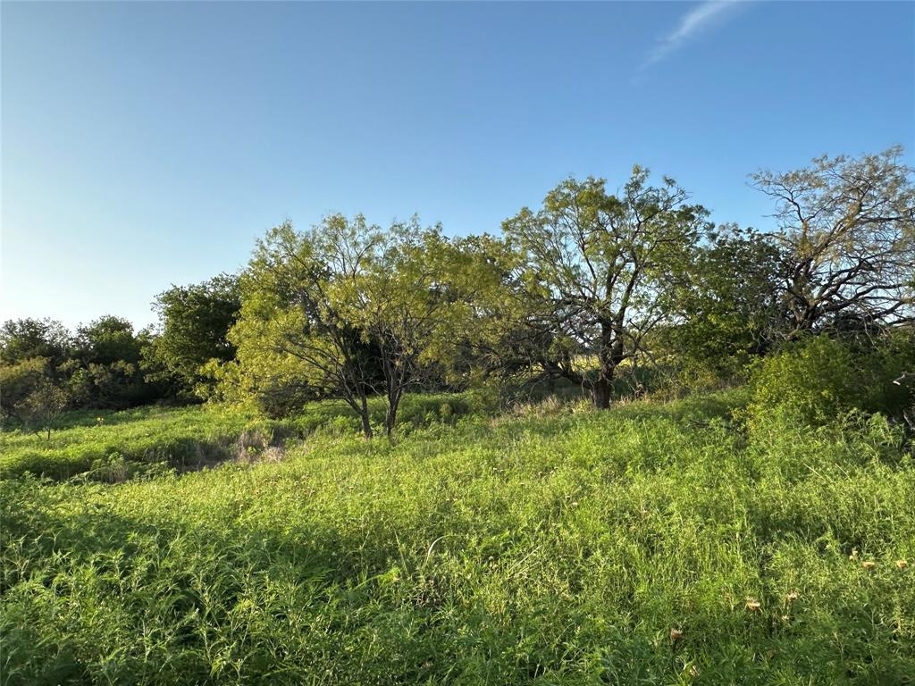 Tbd Hwy 36 W Property Photo 25