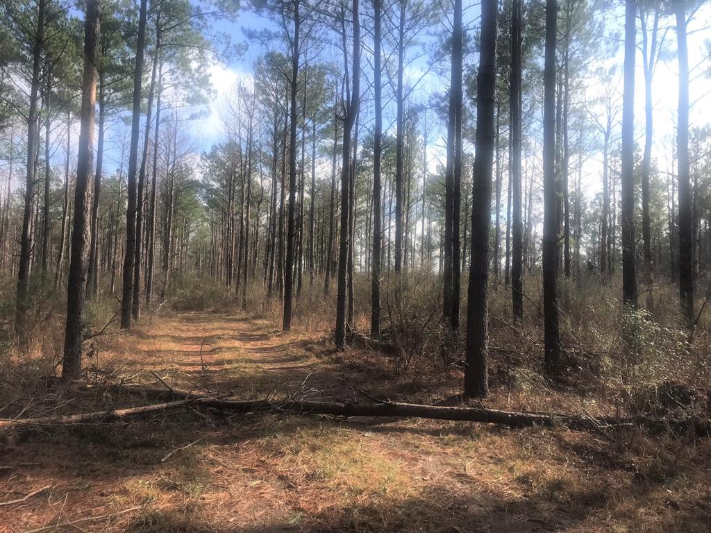 Tract 59 Tbd Property Photo