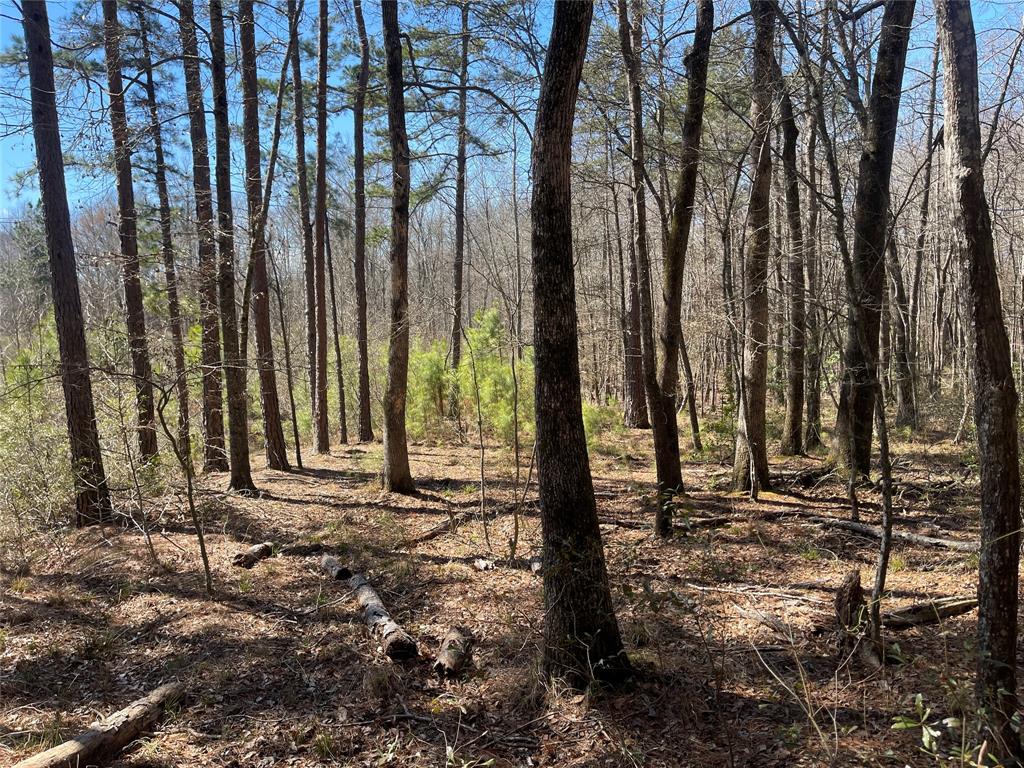 Tbd An County Road 3194 Property Photo