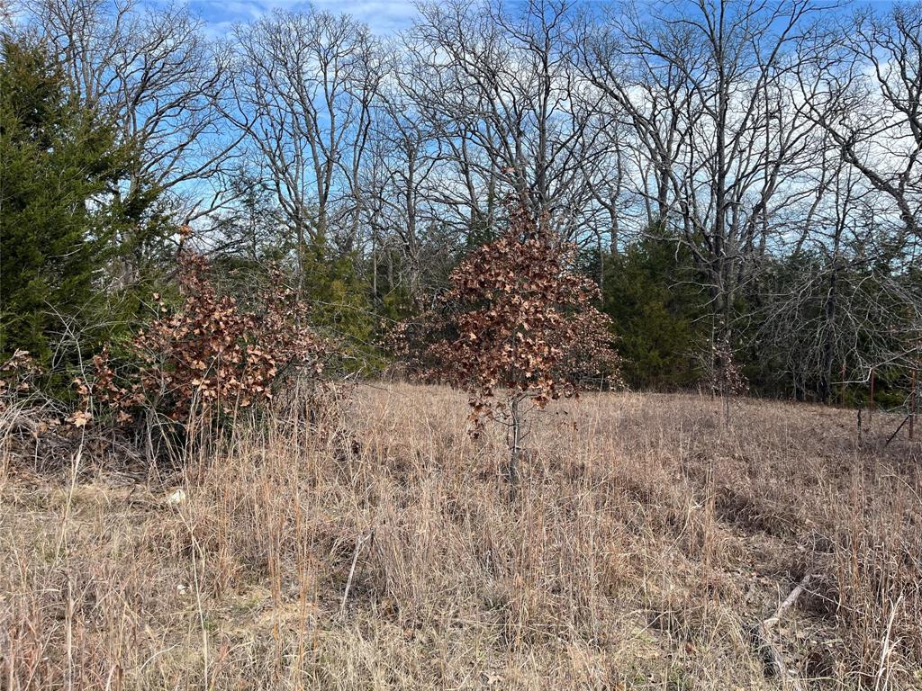 Tbd Sheree Circle Property Photo