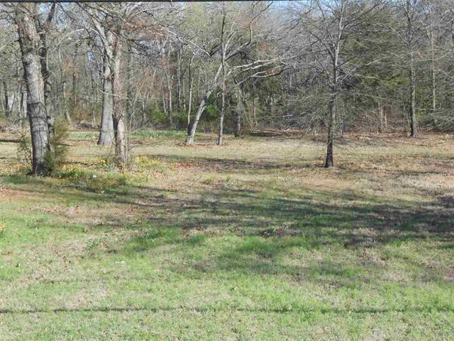 6425 Lamar Road Property Photo 2