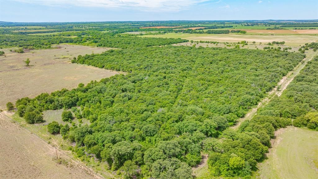 0000 County Road 380 Property Photo 17