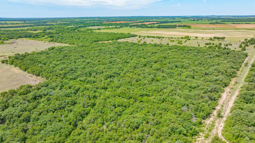 0000 County Road 380 Property Photo 18