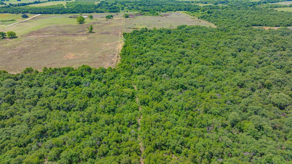 0000 County Road 380 Property Photo 19