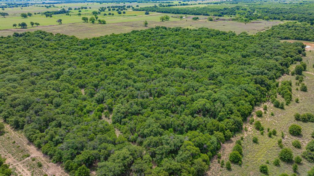 0000 County Road 380 Property Photo 21
