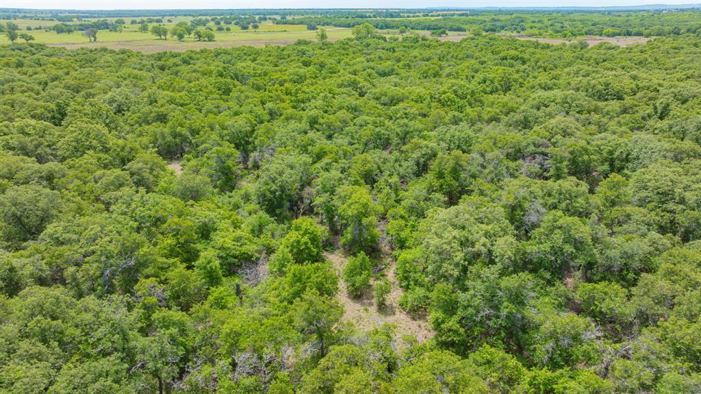 0000 County Road 380 Property Photo 22
