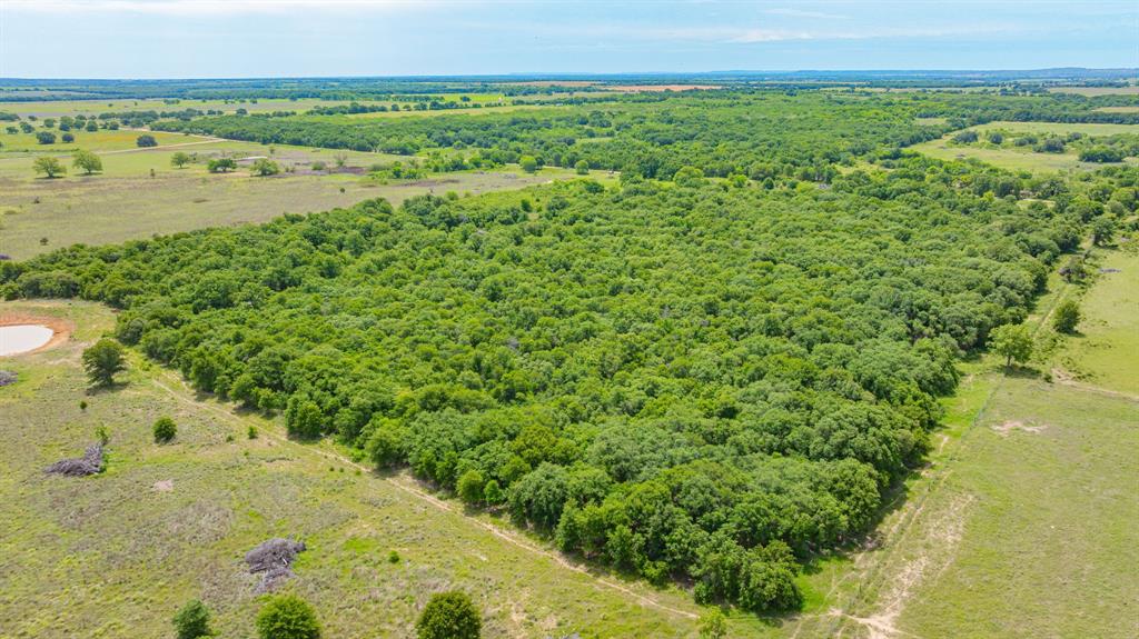 0000 County Road 380 Property Photo 28