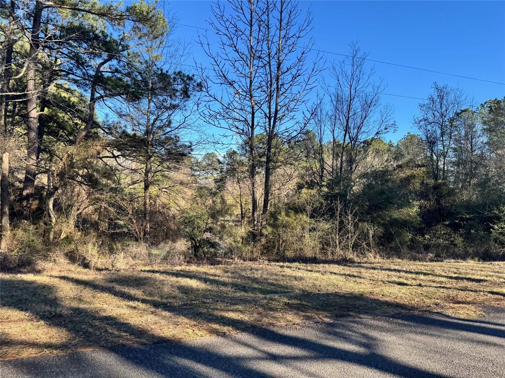397 Doc Steed Road Property Photo