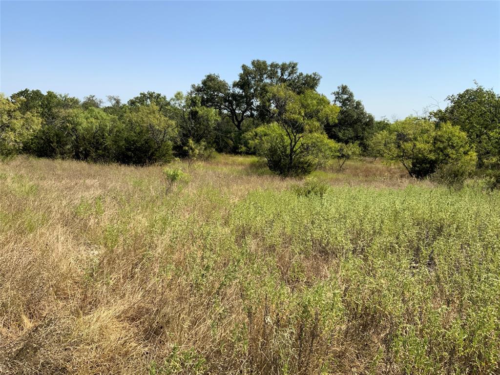 1133 County Road 175 Property Photo 1