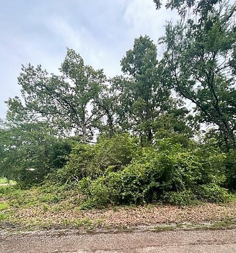 Tbd Sam Houston Property Photo
