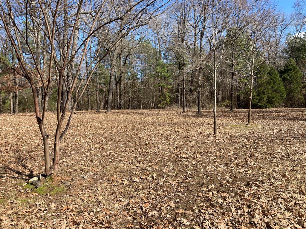 9515 Caddo Lake Road Property Photo 2