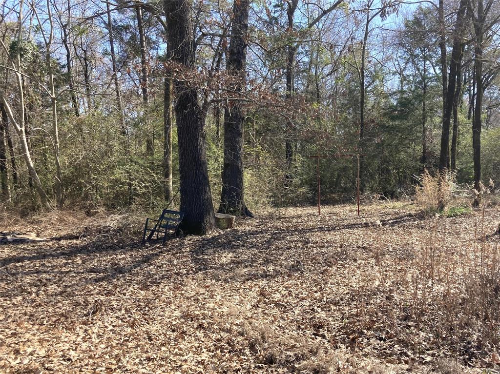 9515 Caddo Lake Road Property Photo 9