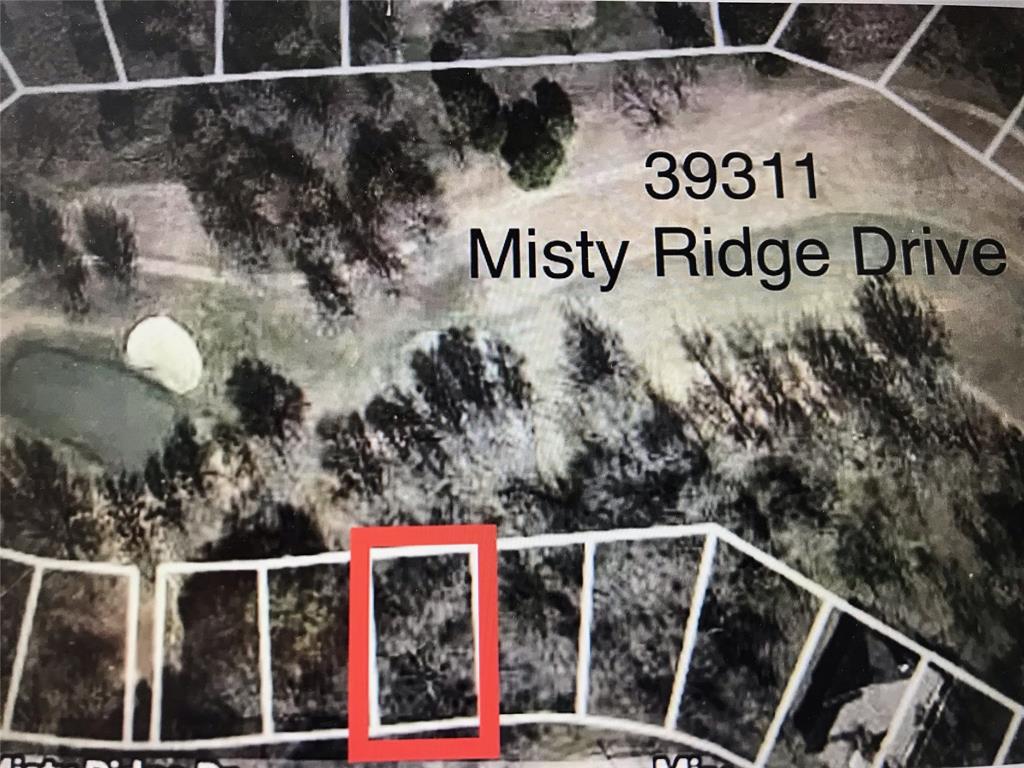 39311 Misty Ridge Drive Property Photo 1