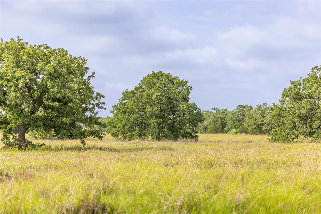 Tbd Highway 77 Property Photo 3