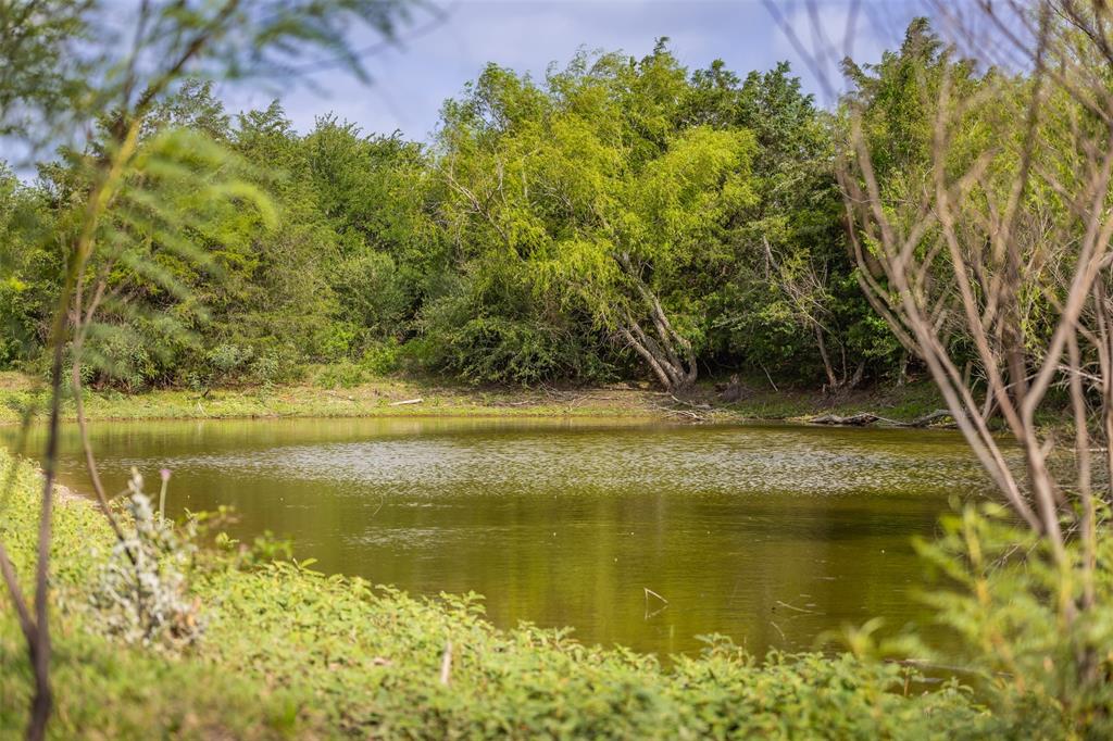 Tbd Highway 77 Property Photo 5