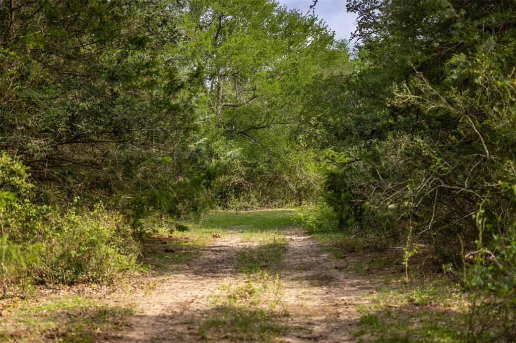 Tbd Highway 77 Property Photo 11