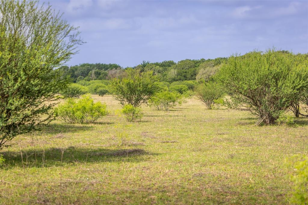 Tbd Highway 77 Property Photo 19