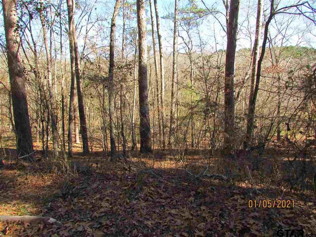 000 Acr 319 Property Photo