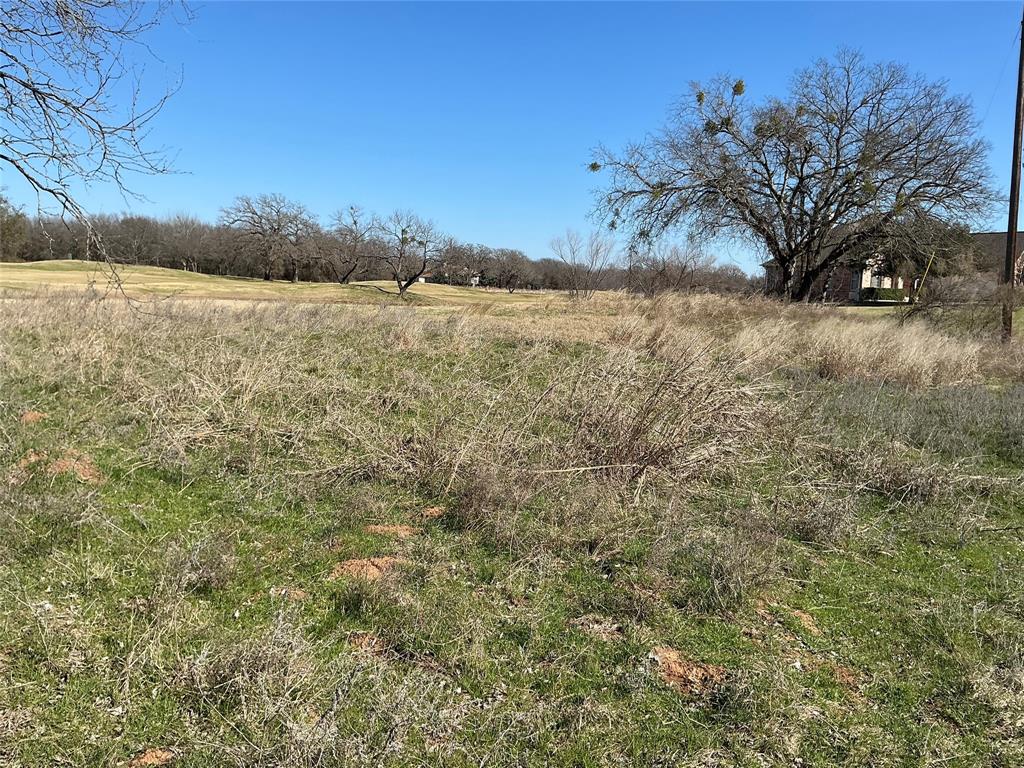 27215 Meadowmore Drive Property Photo 1