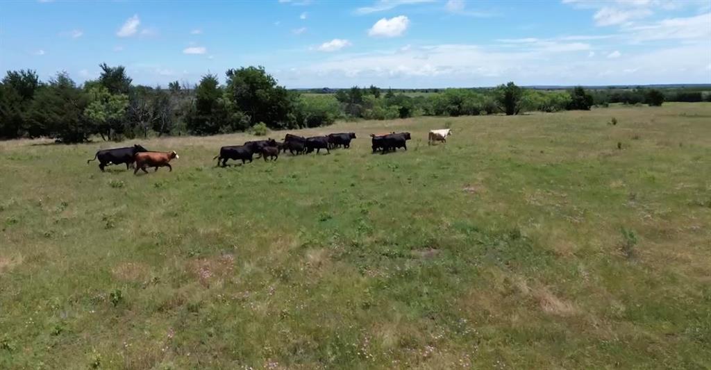 7.5 Acres Wright & Keyes Road Property Photo