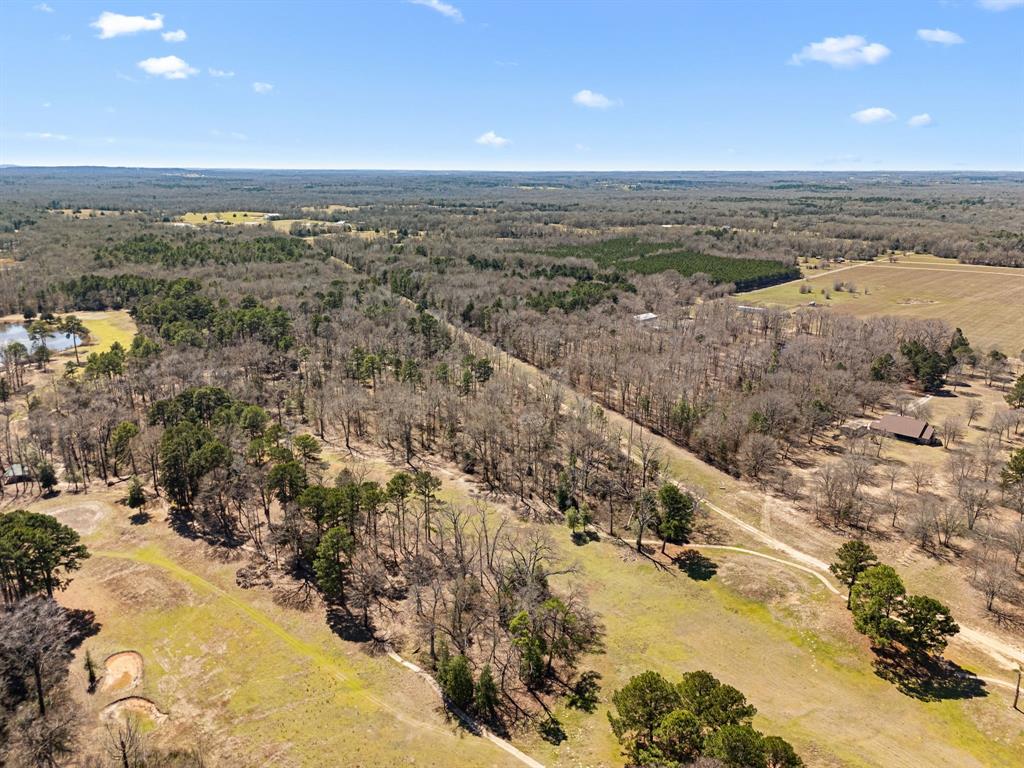 22049 Fm 1995 Property Photo 12