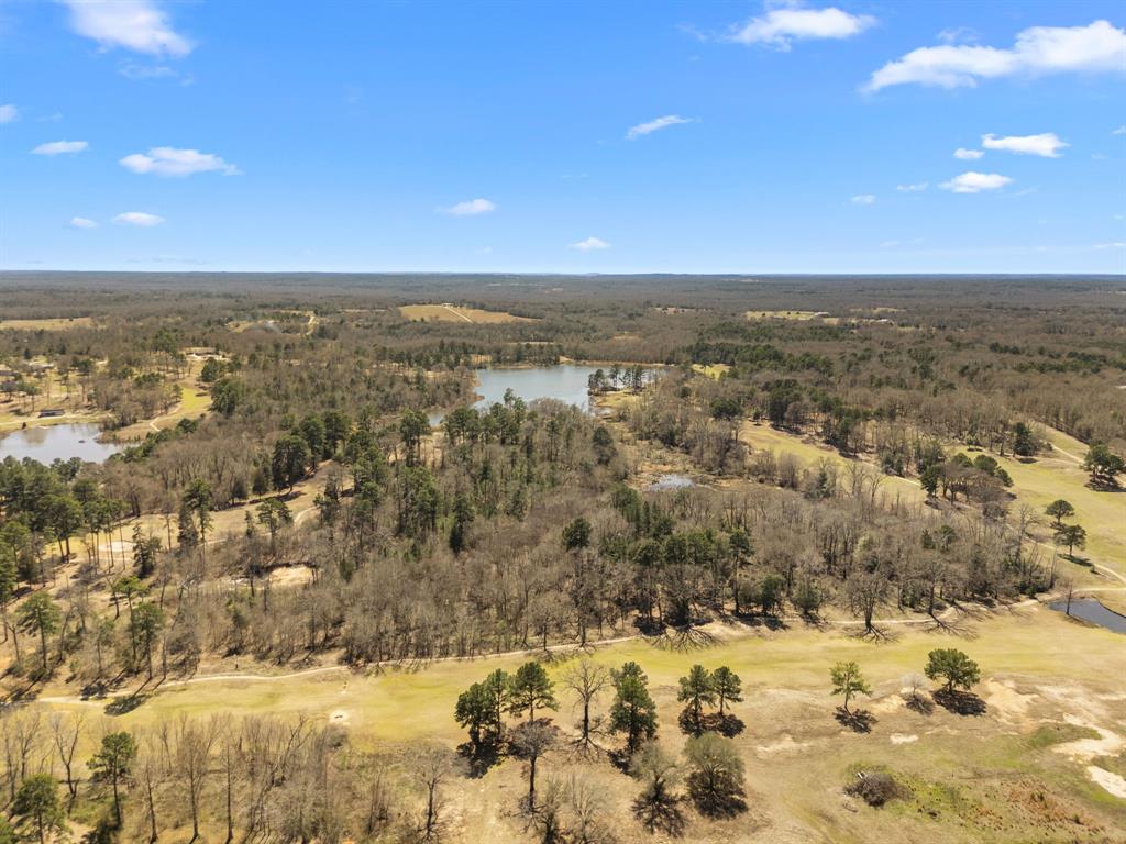 22049 Fm 1995 Property Photo 13
