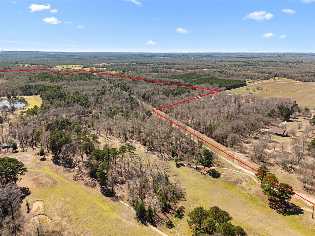 22049 Fm 1995 Property Photo 15