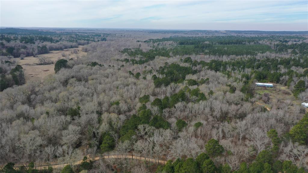 Tbd Lot 3 County Road 2240 Property Photo