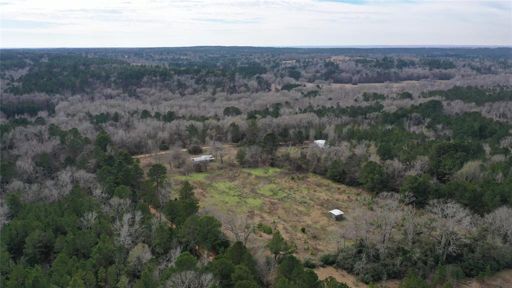 Tbd Lot 3 County Road 2240 Property Photo 3