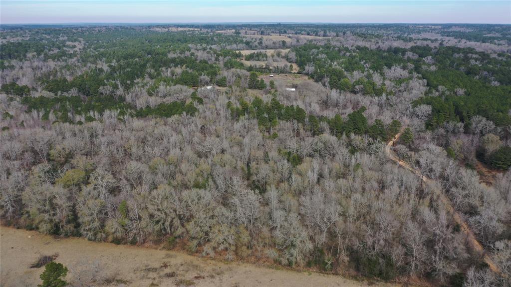 Tbd Lot 3 County Road 2240 Property Photo 10