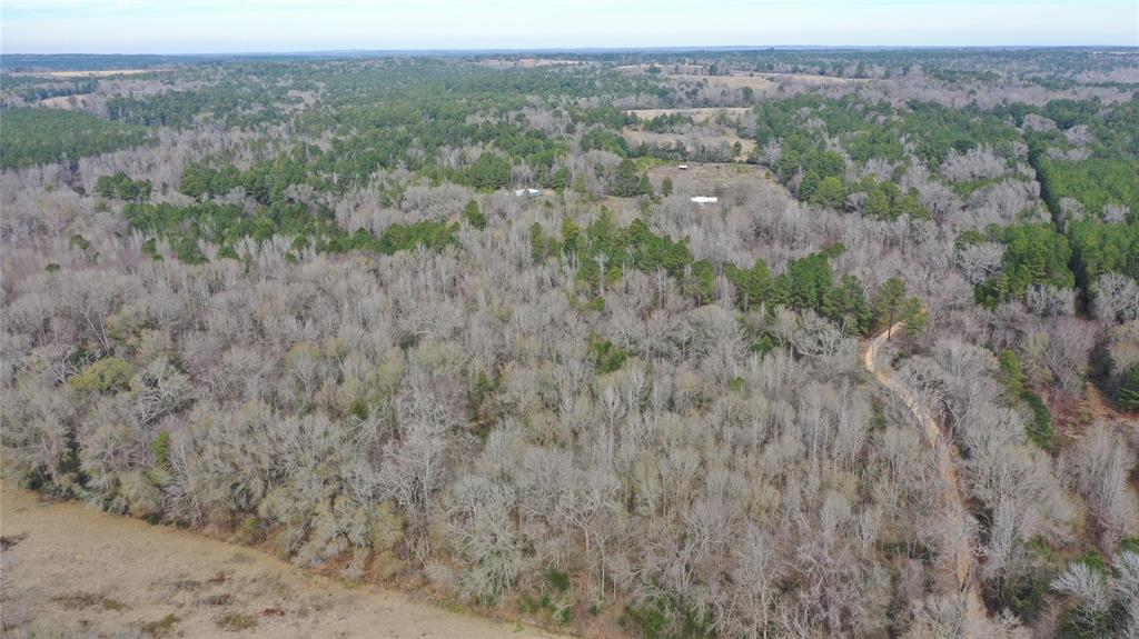 Tbd Lot 3 County Road 2240 Property Photo 11