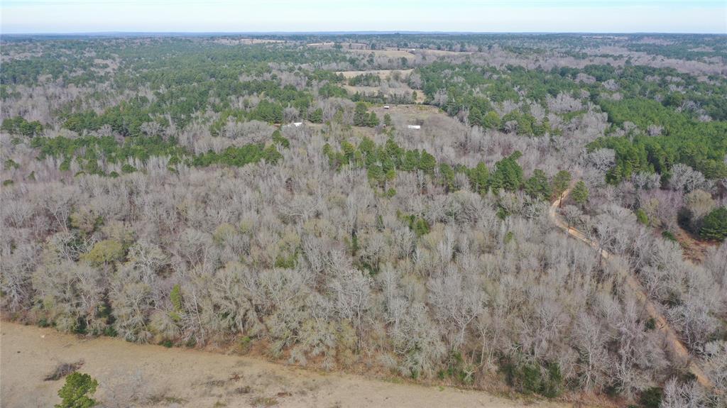 Tbd Lot 3 County Road 2240 Property Photo 12