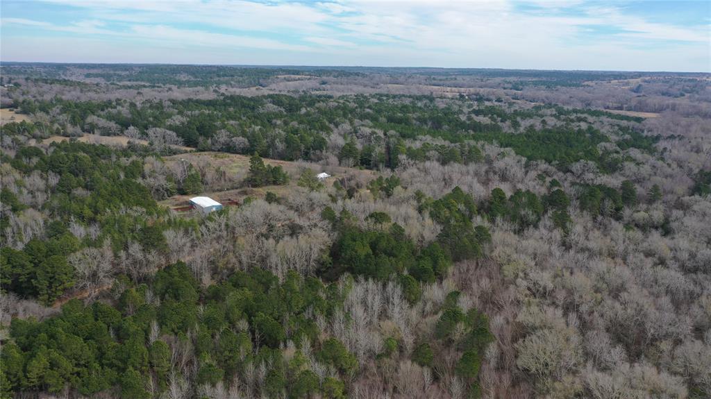 Tbd Lot 3 County Road 2240 Property Photo 14