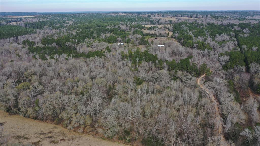 Tbd Lot 5 County Road 2240 Property Photo