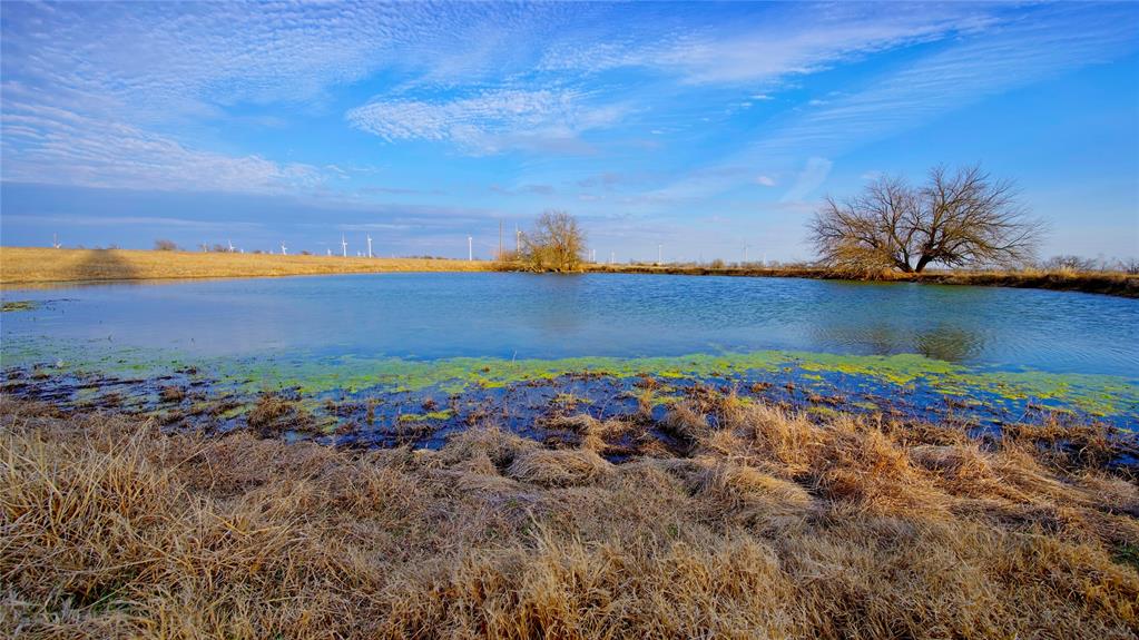Tbd Cr 431 Road Property Photo