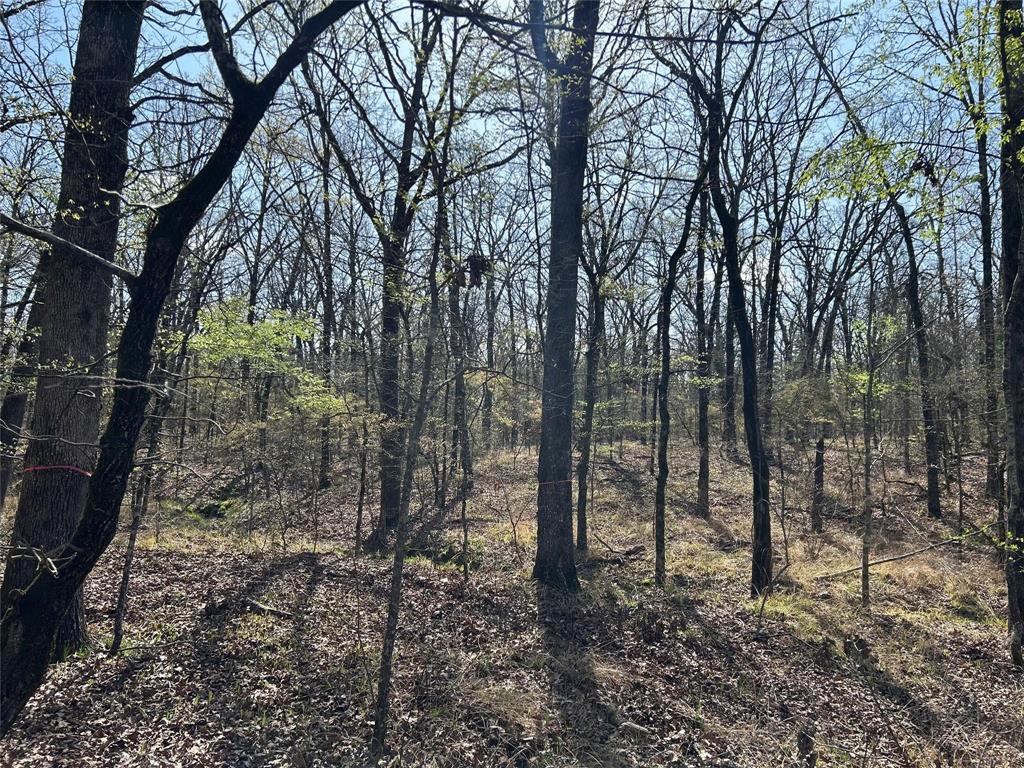 000 Fm 410 S Property Photo