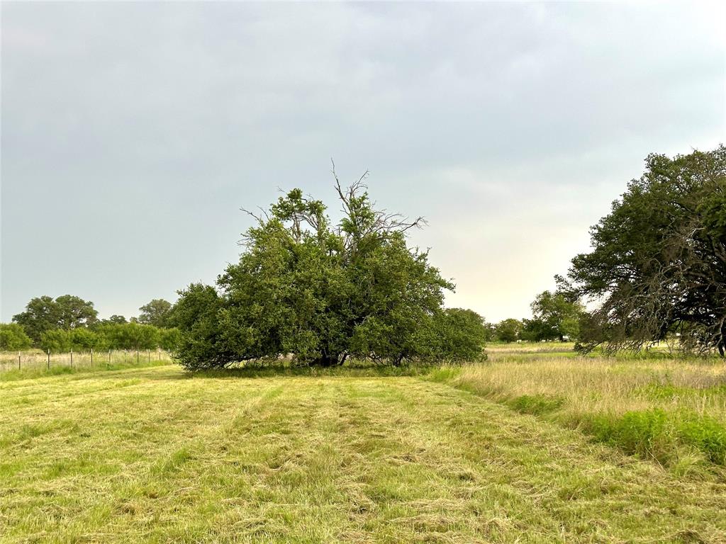 554 W Hwy 84 W Hwy 84 Property Photo 23