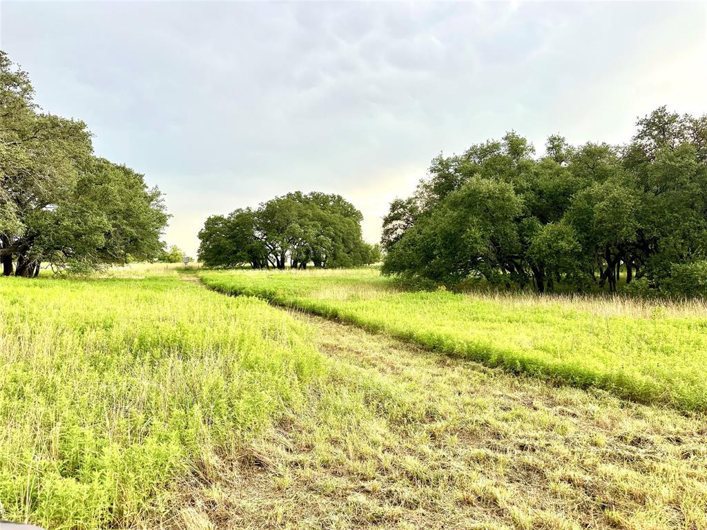 554 W Hwy 84 W Hwy 84 Property Photo 24
