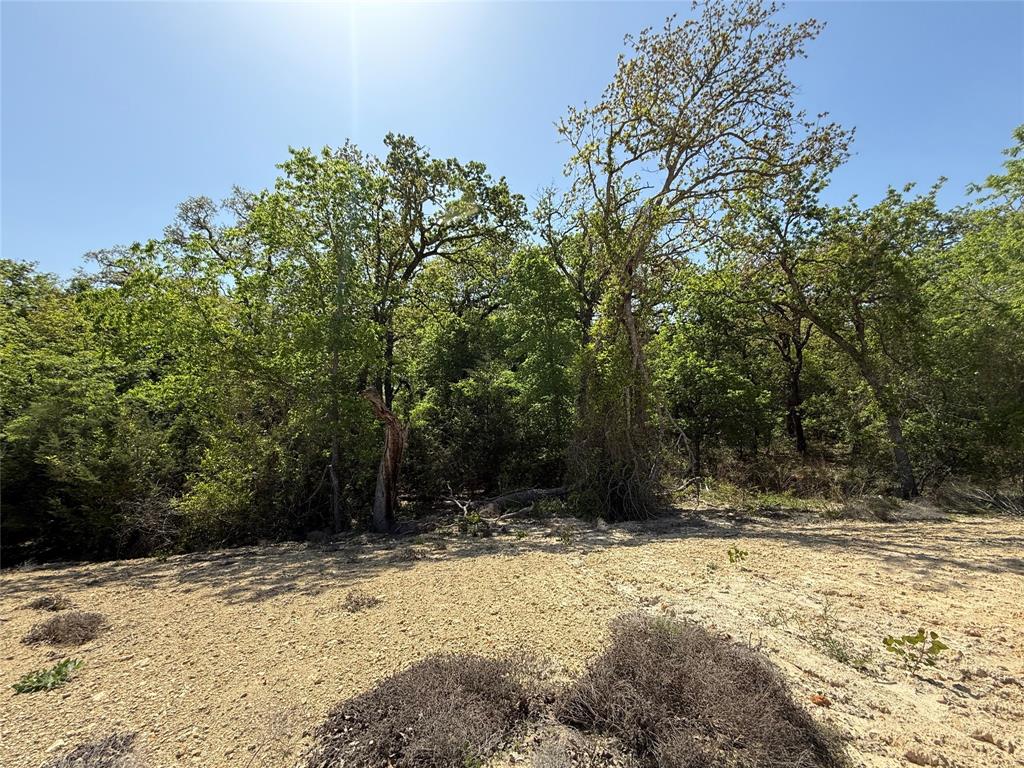 2068 Redemption Drive Property Photo 6