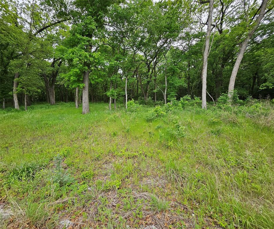 Lot 221 Banjo Court Property Photo